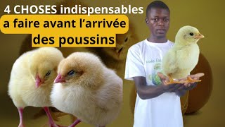 4 paramètres à respecter avant l'arrivée des poussins.