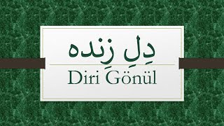 Diri Gönül   /   دلِ زنده