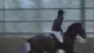 Show Jumping Video