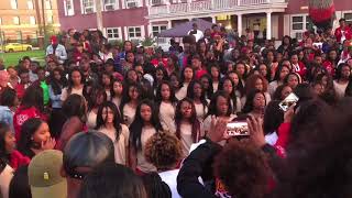 COLLEGE VLOG #26 | Delta Sigma Theta | Spring 2018 Yard Show