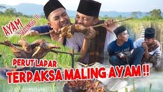 MUKBANG AYAM GULING DIPESAWAHAN | AYAM TETANGGA GA ADA DUANNYA