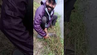 🔴ஆத்தாடி இவ்ளோ பெரிய மீனா..🎣👌🔥Monster catfish hooked..🔥🎣💥#fishing #fishinglife #catfish