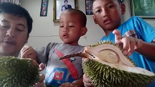 Makan duren