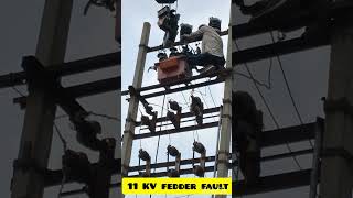 11 KV फीडर बार बार ट्रिप हो रहा है।11 KV feeder fault due to CTPT