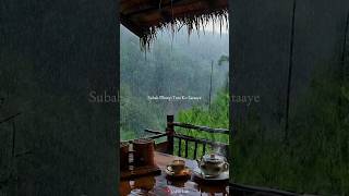 Kisi roj barish jo aaye || Slowed Reverb song | #astheticstatus #dabhilalit