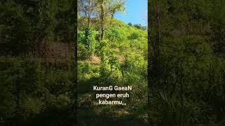 Gunung butak,,,terlihat hijau indah habis penghujan