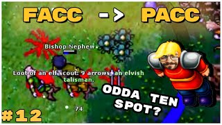 CZAS PODBIĆ TWIERDZĘ ELFÓW! | OD FACC'A DO PACC'A CHALLENGE #12