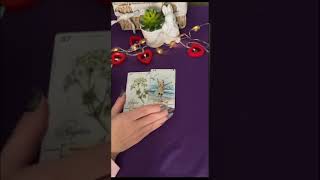 💓🧡ЧТО ЖДЕТ В ЛЮБВИ В НОЯБРЕ🔥⚡  #shortvideo #tarot #таро #гадание