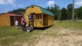 Showing the mule fine tuning the position of the shed