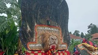 Tarian Reyog Ponorogo Singo Joyo Manggolo di jaranan Putro Joyo Manggolo di gg PU Bandar lampung.