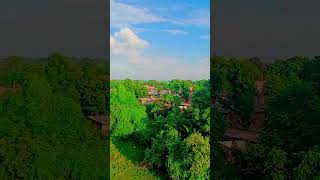 Nature View in My Village| #villagerslifestyle #short #trendingshorts