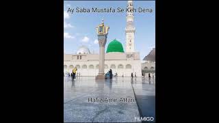 Ay Saba Mustafa Se Keh Dena ./ Salam / Hafiz Amir Attari