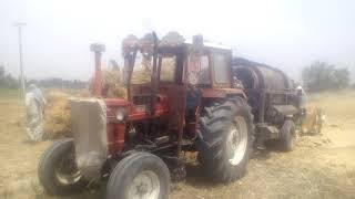 New Holland Fiat 640 Working on wheat Thrasher