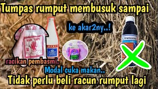 Modal Cuka dan 2 bahan lainya !! anda tidak perlu beli racun rumput lagi cukup 3 bahan ini saja