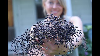 Make Elderberry Syrup