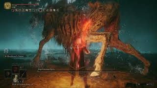 [Elden Ring] Regal Ancestor Spirit (in Hallowhorn Grounds) boss fight | No-hit run | 2024