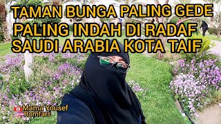 TAMAN RADAF TANAM INDAH GEDE YANG ADA DI SAUDI KOTA TAIF !!!