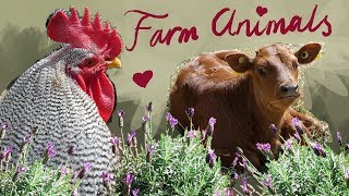 Adorable Farm Animals at the Funen Village // Mori Girl Summer Vlog