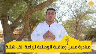 مبادرة عسل وعافية الوطنية لزراعة الف شتلة فى كل أودية المملكة🌳🇸🇦  ح 3