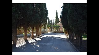 Guadalajara (Cementerio Municipal Ntr  Sra  de la Antigua)