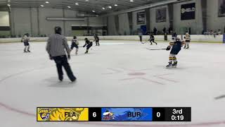 U13A Flamborough Sabres VS Burlington Eagles