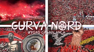 CURVA NORD!! Wydad Casablanca best moments