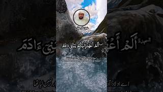 QURAN RECITATION SURAH YASEEN RECITER SHAIKH KHALID JALEEL | قراءة قرآن سورة ياسين #quran #tilawat