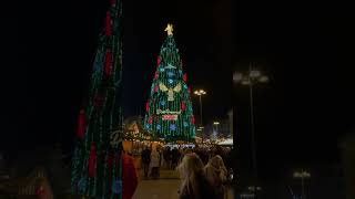 Wonderful Christmas tree 🎄 and Christmas market Dortmund 🎄🎄❄️❄️#shorts #short