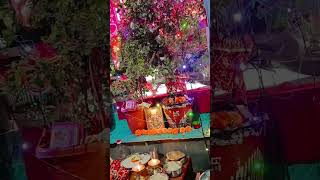 Tulsi vivah // Tulsi vivah Arti #tulsi #tulsivivah #tulsiaarti