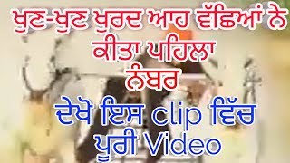 Ox races Khun khun khurd ।। ਜੇਤੂ ਗੱਡੀ ।। Best ox races ।। Khalsa ji malwa tv ।।