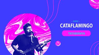 Cataflamingo - Peron Music Tehetségkutató - Tatabánya