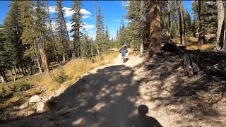 Trestle Bike Park - Green World and Space Force