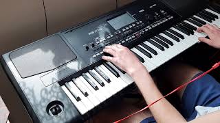 Chanel - Wszystkie noce | Cover Korg PA300