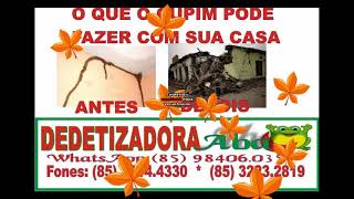 DEDETIZAÇÃO NO BAIRRO PEDRAS FORTALEZA (85) 3214.4330