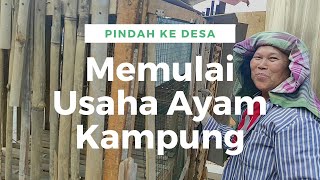 Pindah ke Desa Ingin Menjadi Perternak Ayam Kampung