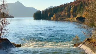 Bildschirmschoner: Walchensee - Mündung Rißbach (in 4K)