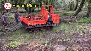 Crawler dump truck at oil palm plantation