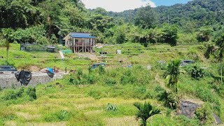 the nature's beauty of Nagacadan Kiangan Ifugao