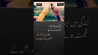 آگ اور شعلوں سے گزرنا پڑتا ہے #youtubeshorts #deepslines #trendingshorts #shorts #goldenwords