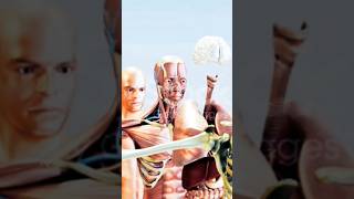 Human body || 3d animation video || #shorts