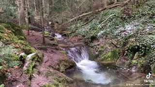 Black Forest Germany