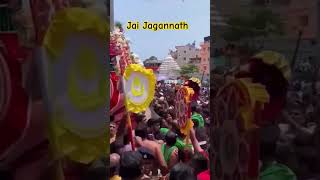 Rath Jatra 2024 | Cart Festival 24 #rathayatra #shorts