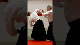 Aikido technique SANKYO on some grab and strike attacks, by Stefan Stenudd