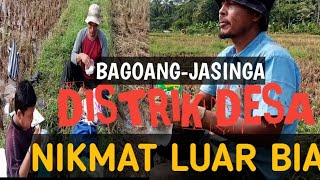 Suasana pedesaan di jasinga bogor barat | pedesaan di perbatasan jawa barat dan banten