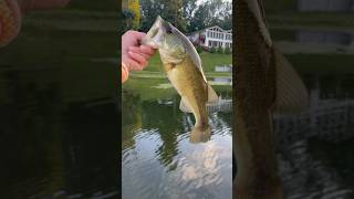 Nice bass on a ripped up cinco ￼