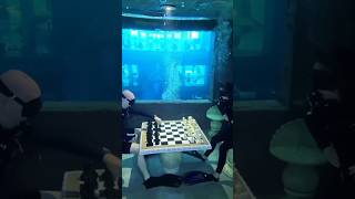 Playing chess Under deep water 🔥🥵?#facts #shorts #viral