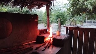 UMA TARDEZINHA CUIDANDO DOS ANIMAIS E VEJA O MAIS NOVOS INTEGRANTES DA CASA