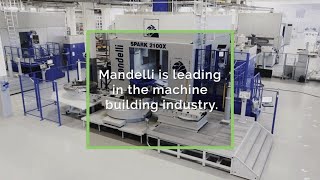 Mandelli Is Transforming Their Service Model Using Remote Monitoring