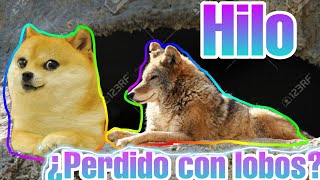 ¿¡Perdido con lobos!? | la hora del hilo con el perrito :3 chems #1 |story time