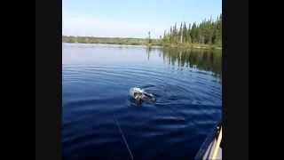 Paddling and fishing Jowsey Lake 08/10/2014